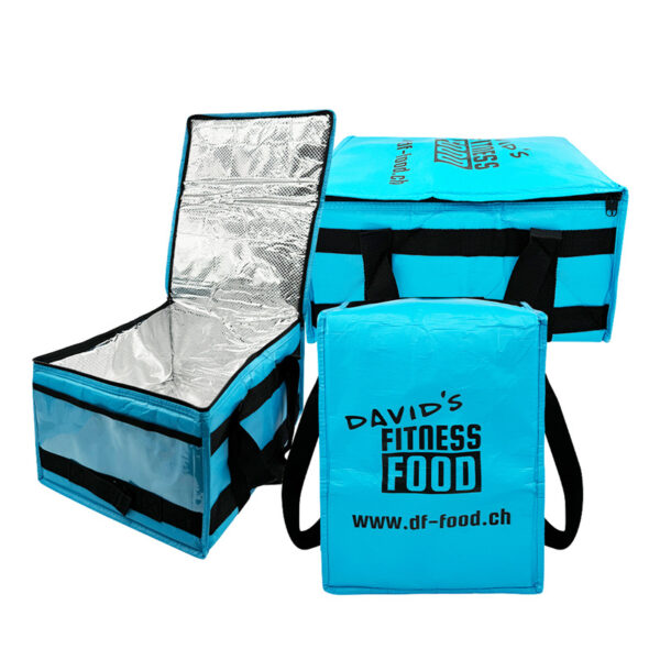 Reusable Insulated Food Delivery Bag with Custom Logo