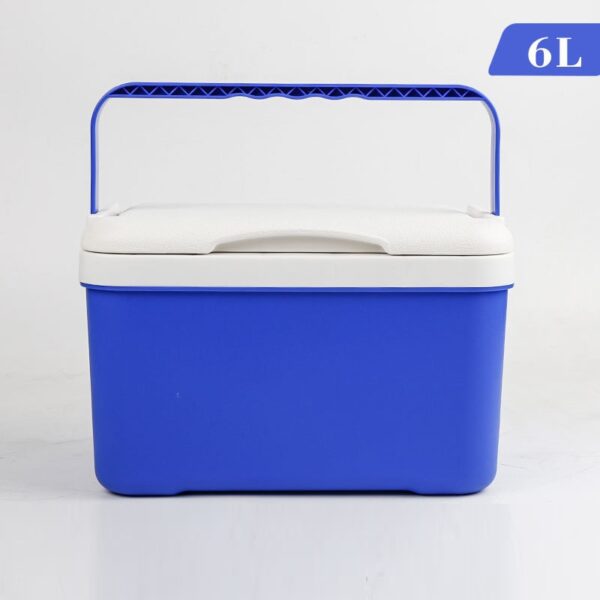 Portable Car Insulated Cooler with Custom Logo 6L