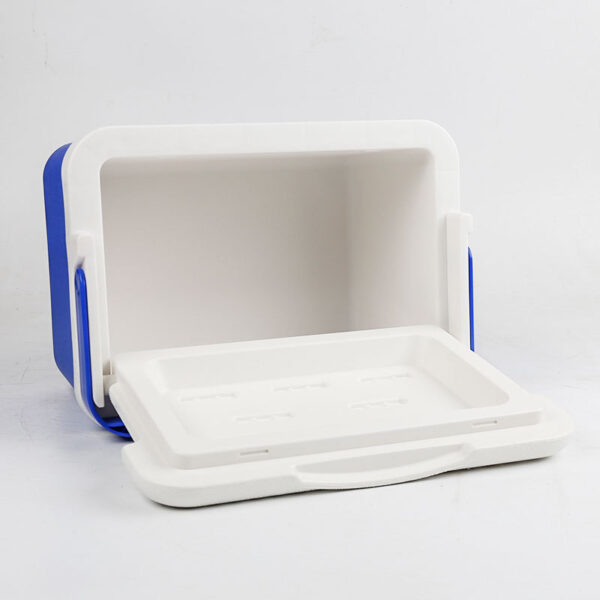 Portable Car Insulated Cooler with Custom Logo 6L - Image 3