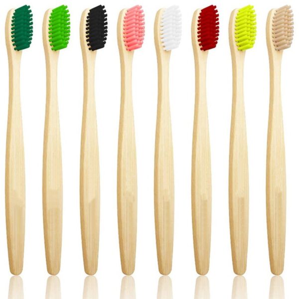 Biodegradable Bamboo Toothbrush