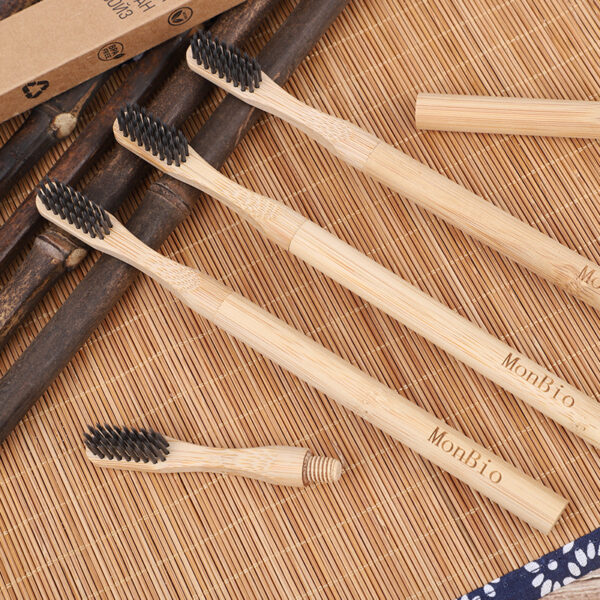 Biodegradable Bamboo Handle Toothbrush